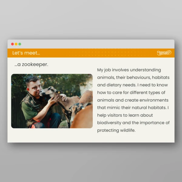 An image of the Lesson 3: How do We Use Classification Keys to Group Animals? Resource