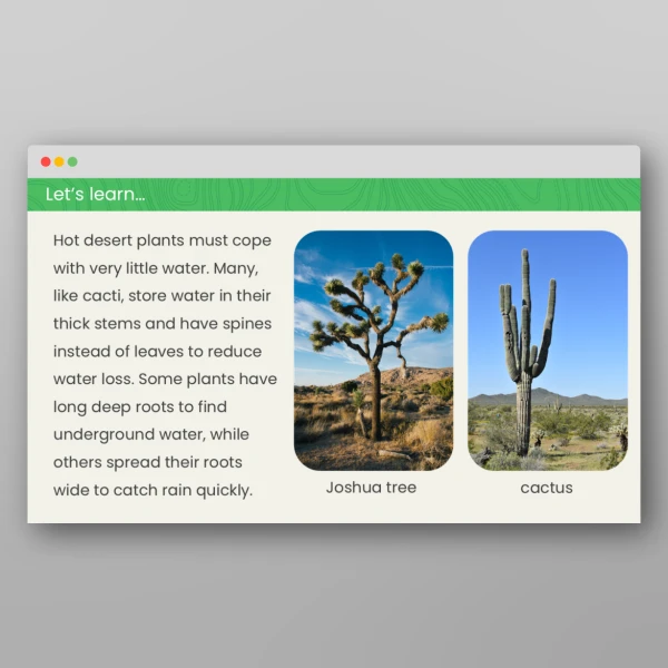 An image of the What are Vegetation Belts? Geography PPT Resource