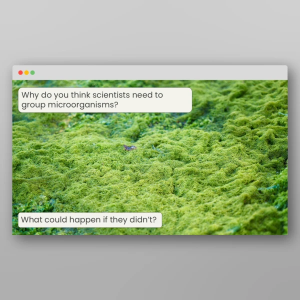 An image of the Lesson 5: How do We Group Microorganisms? Resource