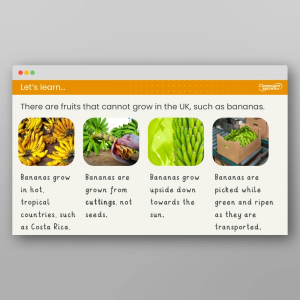 An image of the Lesson 6: Are Plants the Same Around the World? Resource