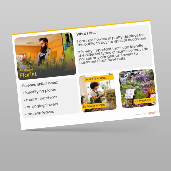 An image of the Plants Display Pack Resource