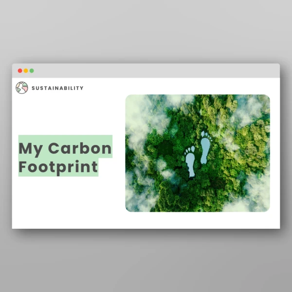 An image of the My Carbon Footprint Assembly Pack Resource