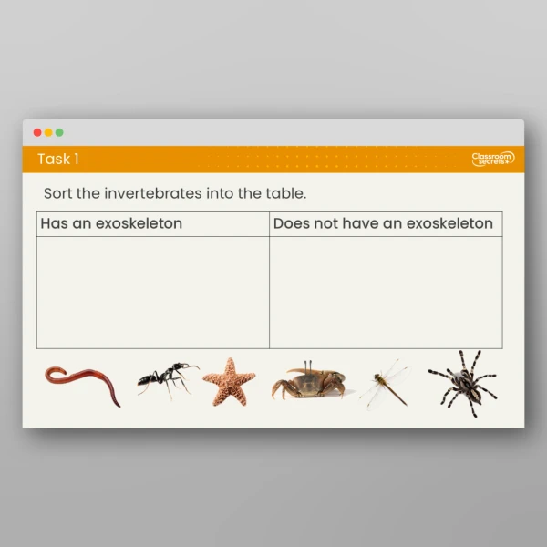 An image of the Lesson 3: What are Invertebrates? Resource