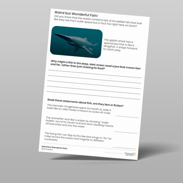 An image of the Weird but Wonderful Fish Activity Resource
