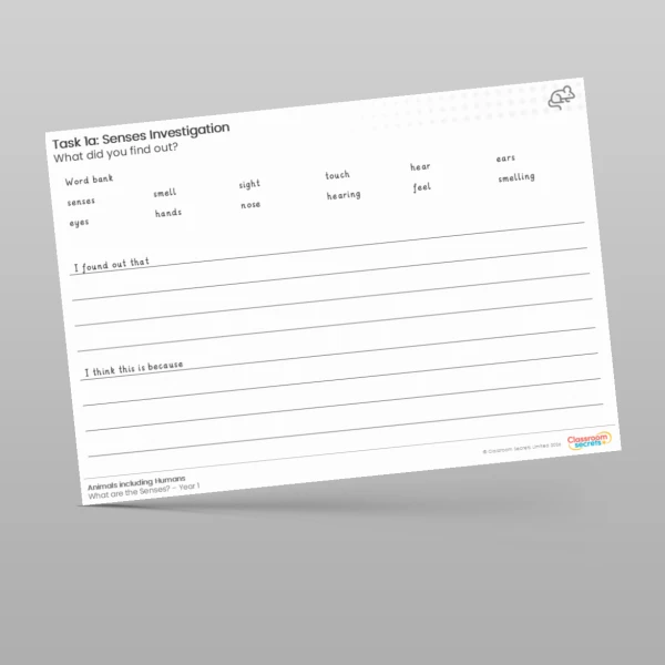 An image of the Lesson 5: Senses Investigation Worksheet Resource