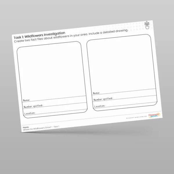 An image of the Lesson 5: Wildflowers Investigation Worksheet Resource