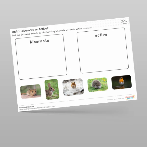 An image of the Lesson 5: Hibernate or Active Worksheet Resource