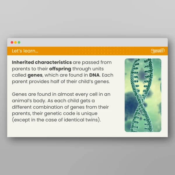 An image of the Lesson 4: What is Inheritance and Variation? Resource