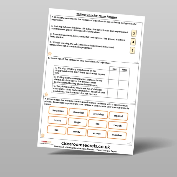 An image of the Writing Concise Noun Phrases Homework Resource