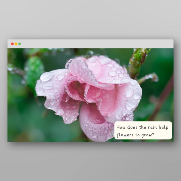 An image of the Spring I Wonder Discussion Prompts Resource