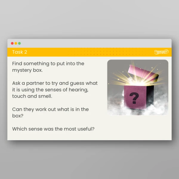 An image of the Lesson 5: What are the Senses? Investigation Resource