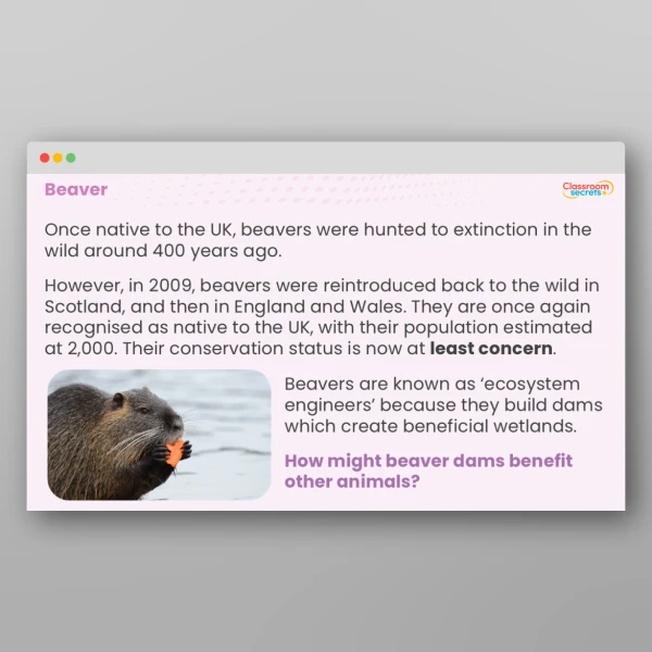 An image of the Endangered Animals Success Stories Whole School Assembly Resource