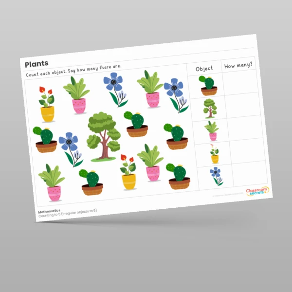 An image of the Plants Maths Activities Resource