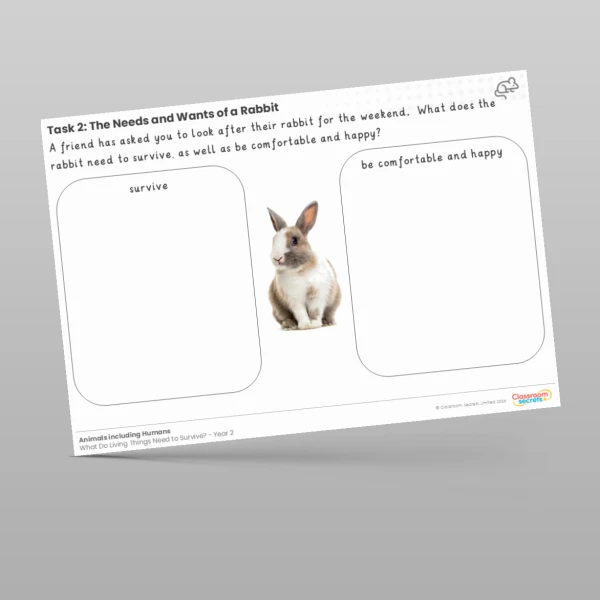 An image of the Lesson 3: Basic Wants and Needs Worksheet Resource