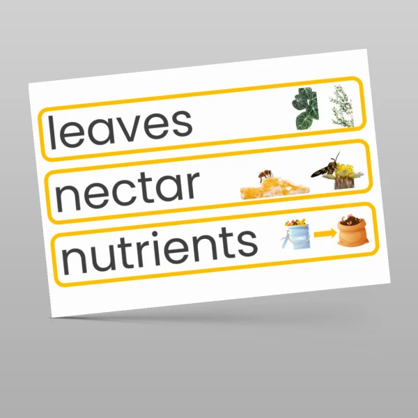 An image of the Plants Display Pack Resource