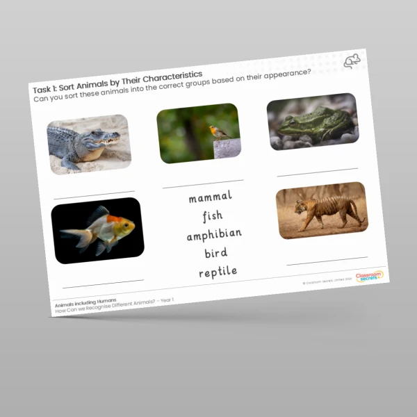 An image of the Lesson 4: Sort Animals by Their Characteristics Worksheet Resource