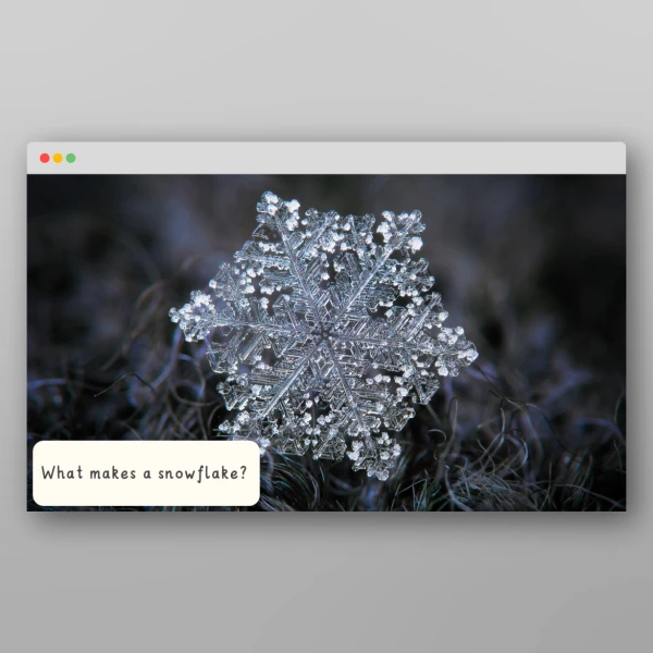 An image of the Winter I Wonder Discussion Prompts Resource