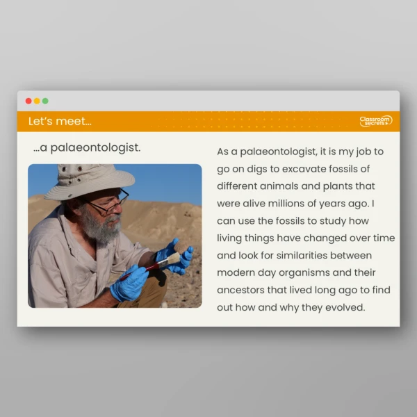 An image of the Lesson 1: What do Fossils Teach us? Resource