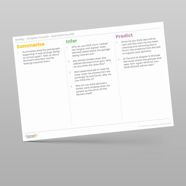 An image of the Reading Skills - Skellig - Chapters 5 & 6 Resource