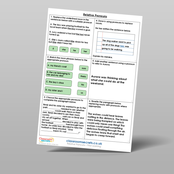 Year 5 Relative Pronouns Prior Learning Resource | Classroom Secrets