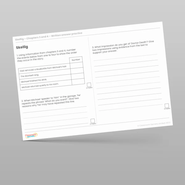 An image of the Reading Skills - Skellig - Chapters 3 & 4 Resource