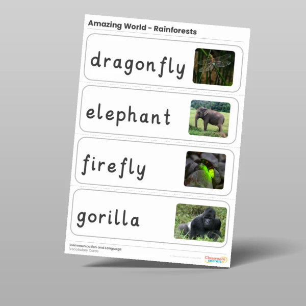 An image of the Amazing World - Rainforests Vocabulary Cards Resource