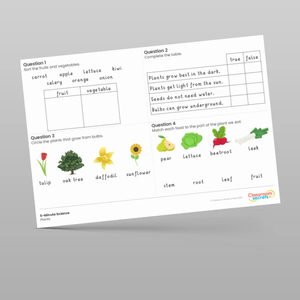 An image of the Plants 5-Minute Science Resource