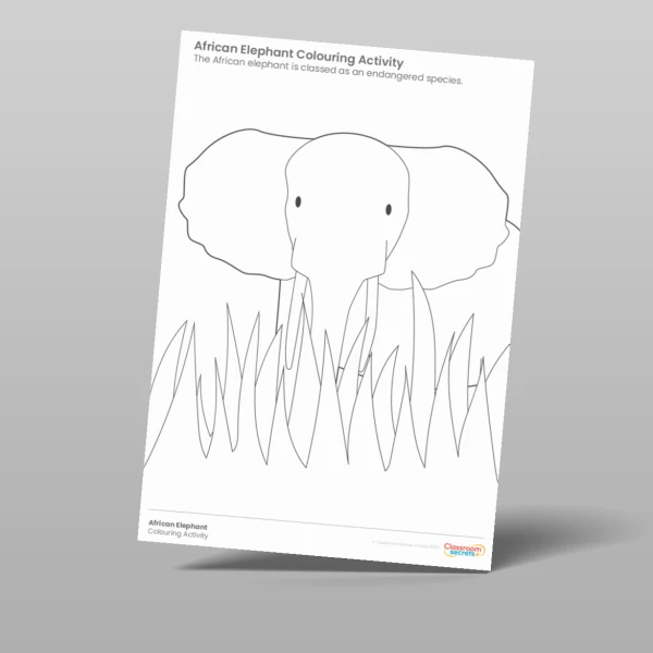 An image of the African Elephant Colouring Activity Resource