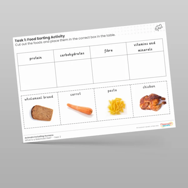 An image of the Lesson 5: Food Sorting Activity Worksheet Resource