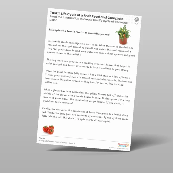 An image of the Lesson 5: Life Cycle of a Fruit Read and Complete Worksheet Resource
