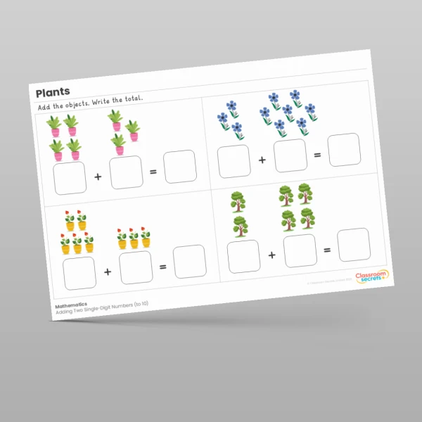 An image of the Plants Maths Activities Resource