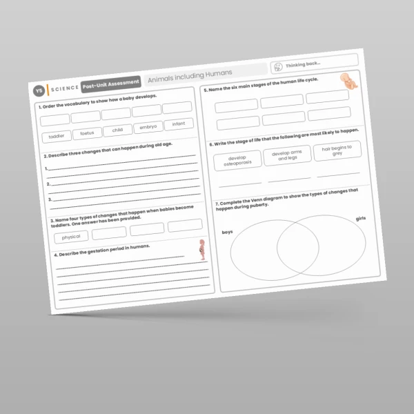 An image of the Animals including Humans Post-Unit Assessment Resource