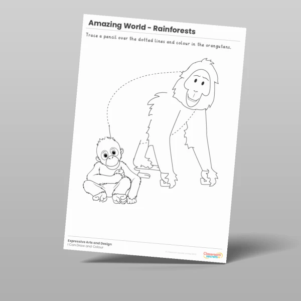 An image of the Amazing World - Rainforests I Can Draw and Colour Resource