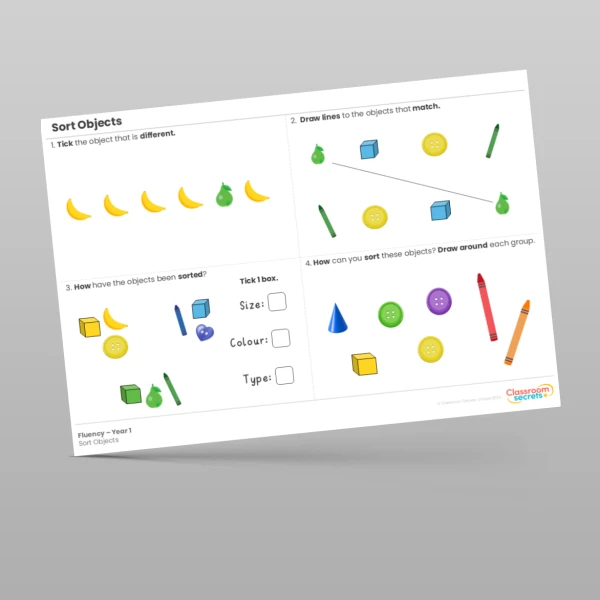 An image of the Sort Objects Fluency Resource