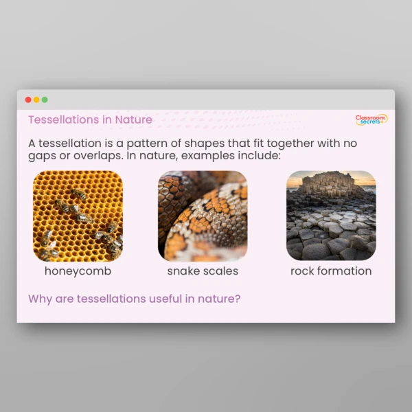 An image of the Amazing Maths in Nature PPT Resource