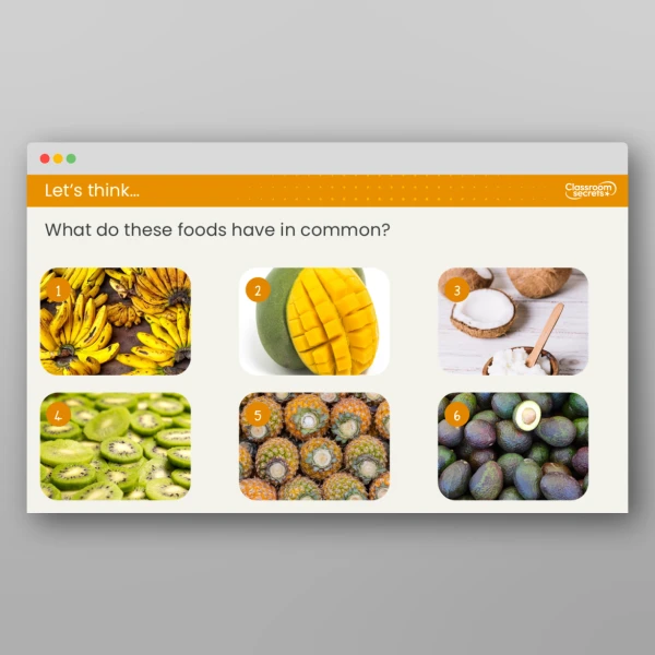 An image of the Lesson 6: Are Plants the Same Around the World? Resource