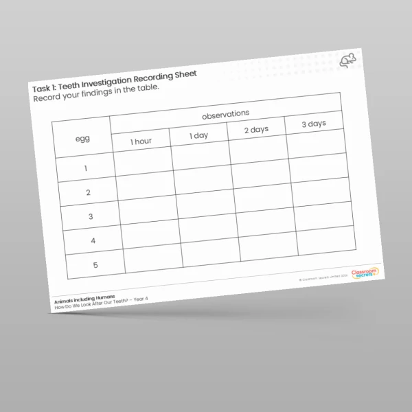 An image of the Teeth Investigation Recording Worksheet Resource