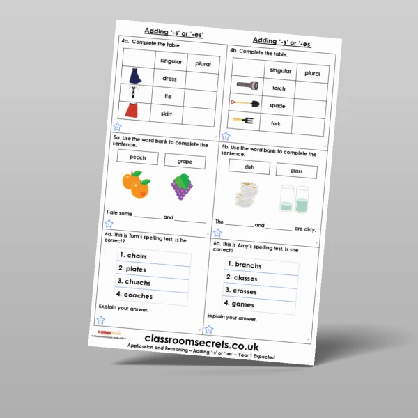 An image of the Adding ‘-s’ or ‘-es’ Application and Reasoning Resource
