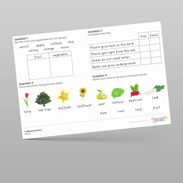 An image of the Plants 5-Minute Science Resource
