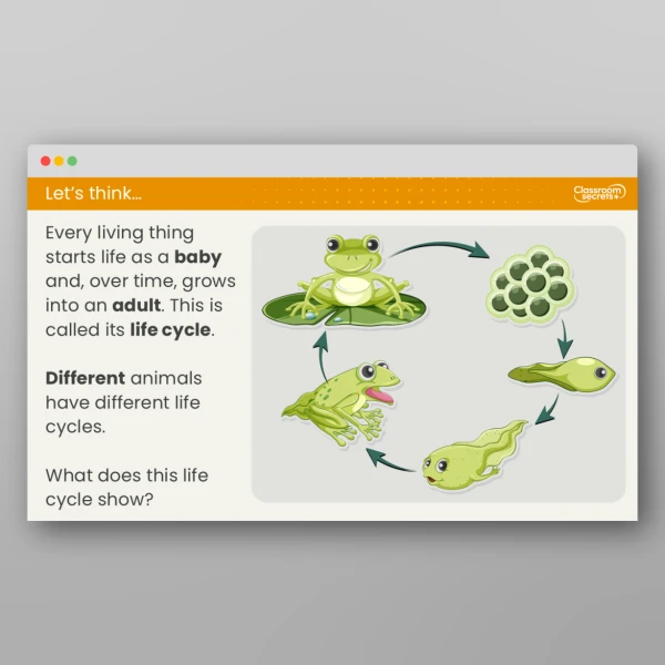 An image of the Lesson 2: What is a Life Cycle? Resource