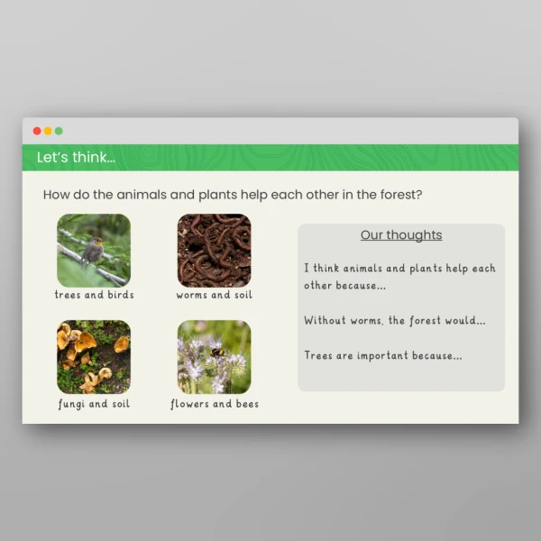 An image of the What Might Live in a Forest in the United Kingdom? Geography PPT Resource