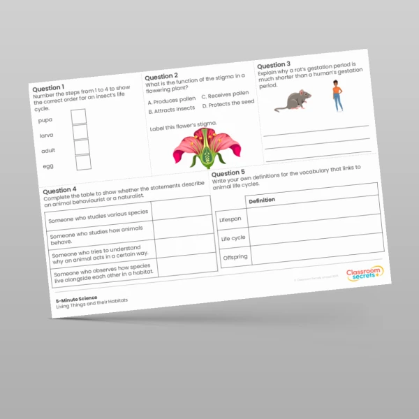 An image of the Living Things and their Habitats 5-Minute Science Resource
