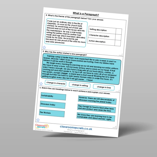 An image of the What is a Paragraph? Homework Resource