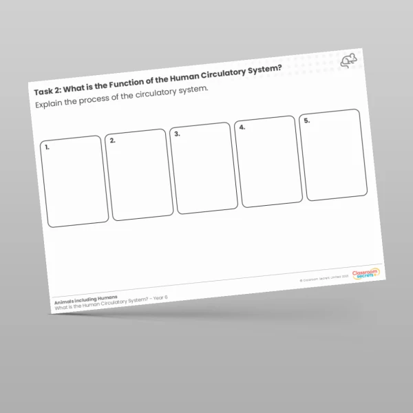 An image of the Lesson 1: What is the Function of the Human Circulatory System? Worksheet Resource