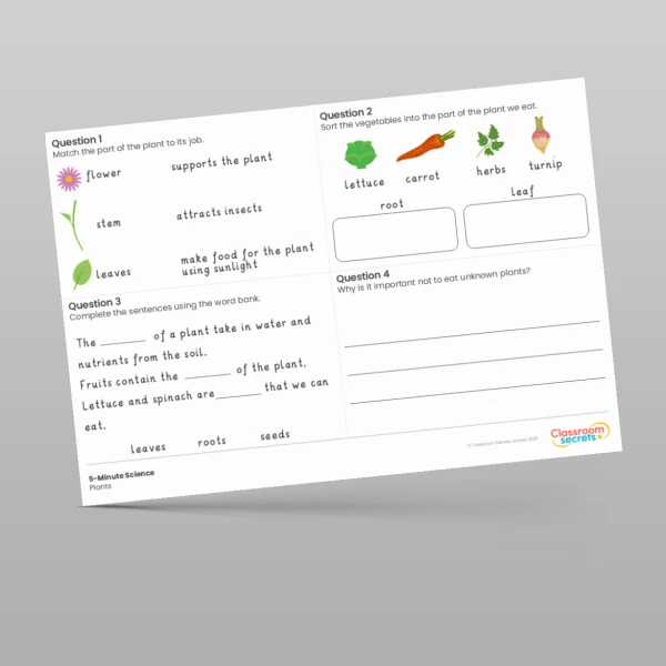 An image of the Plants 5-Minute Science Resource