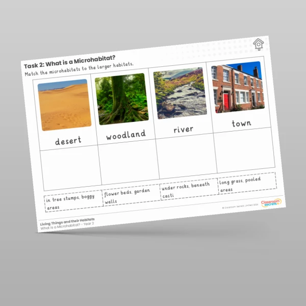 An image of the Lesson 4: What is a Microhabitat? Worksheet Resource