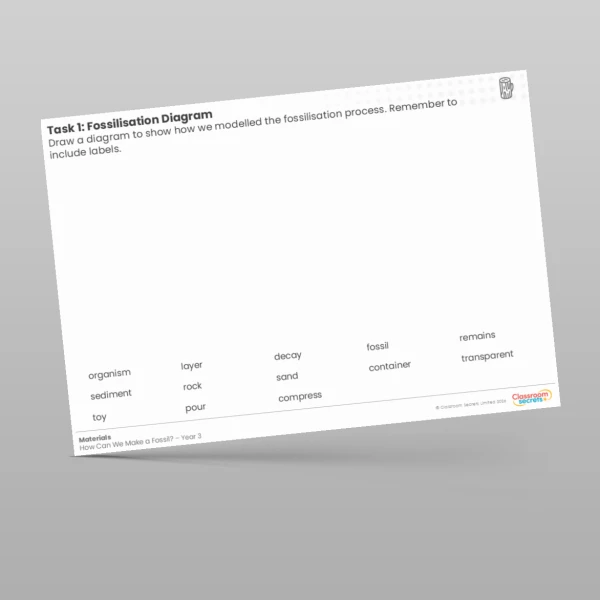 An image of the Lesson 4: Fossilisation Diagram Worksheet Resource