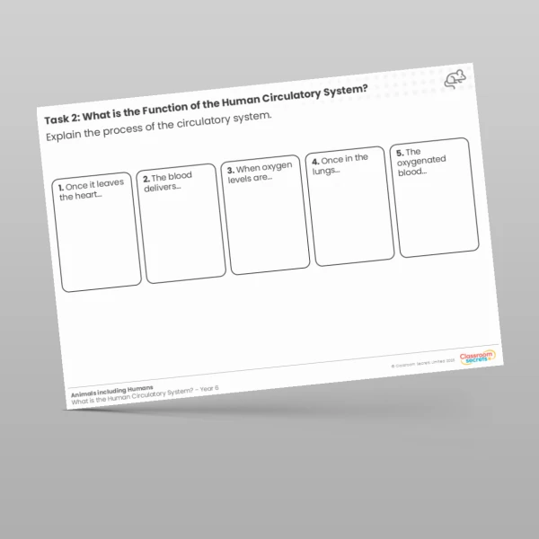 An image of the Lesson 1: What is the Function of the Human Circulatory System? Worksheet Resource