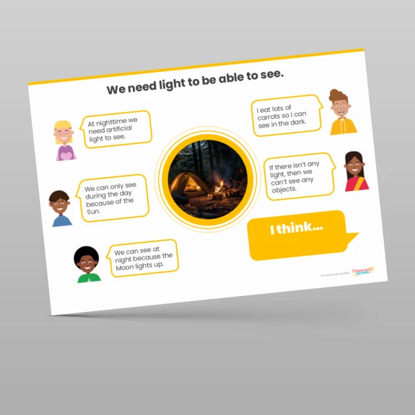 An image of the Light and Shadows Concept Cartoons Resource