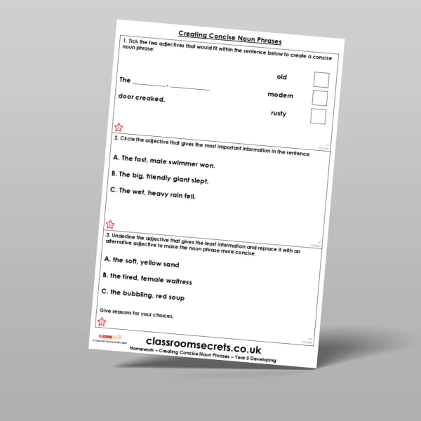 An image of the Creating Concise Noun Phrases Homework Resource